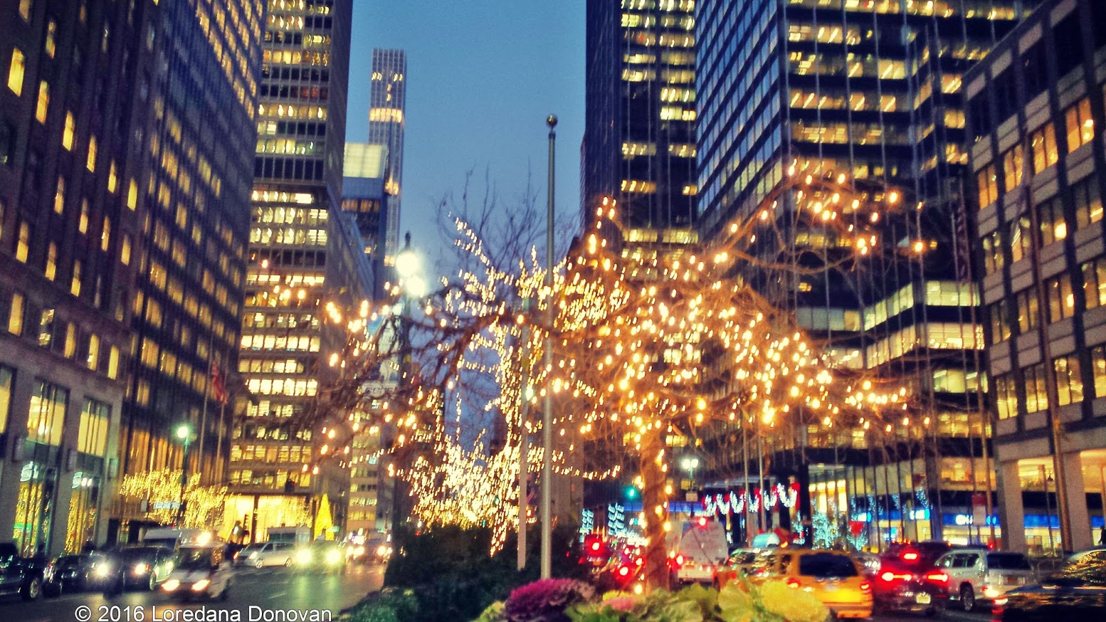 Christmas Lights in New York City