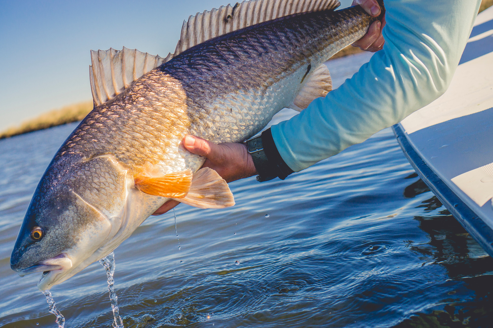Fly and Inshore Fishing ChartersPanama City/Panama City Beach/30A